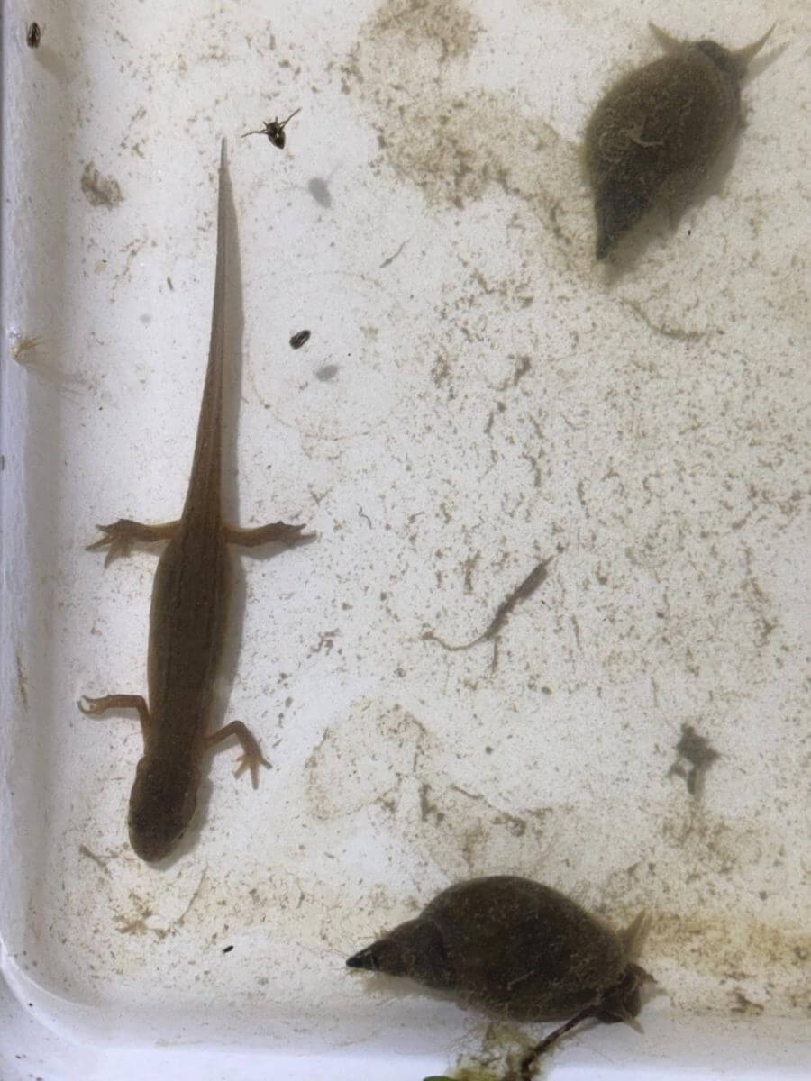 Přírodovědná noční expedice