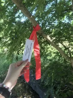 Příměstský tábor_Z pohádky do pohádky