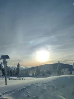 LVK 2024_1