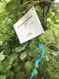 Příměstský tábor_Z pohádky do pohádky