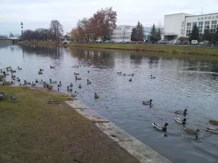 Předvánoční čas v ŠD u druháků