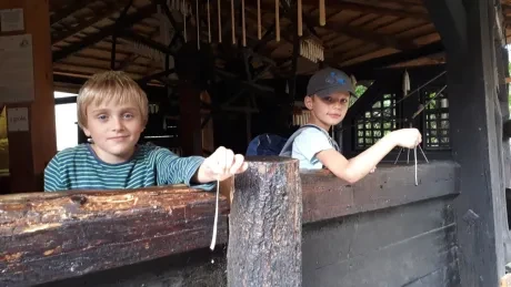 Den círk. šk._Botanicus_1. A, 2. A