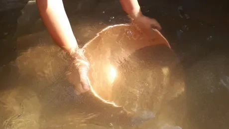 Den círk. šk._Botanicus_1. A, 2. A