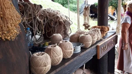 Den círk. šk._Botanicus_1. A, 2. A