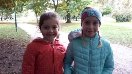 Hradecký zlatý strom_1. A