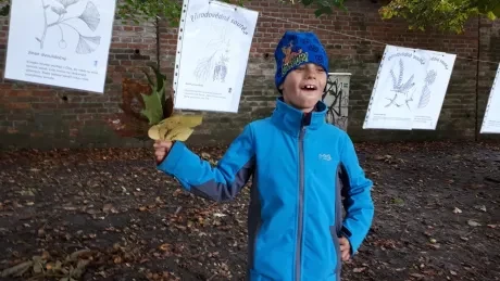 Hradecký zlatý strom_1. A