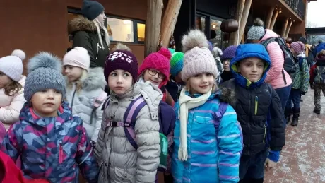 ZOO - zdobení stromečků