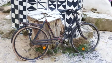 ZOO - zdobení stromečků