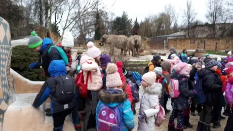 ZOO - zdobení stromečků