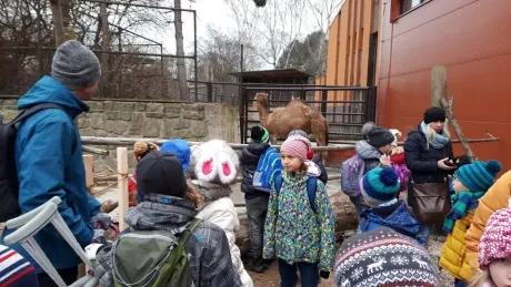 ZOO - zdobení stromečků