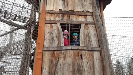 ZOO - zdobení stromečků