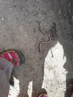 Vodnická stezka_1. A