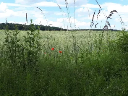 Vodnická stezka_1. A