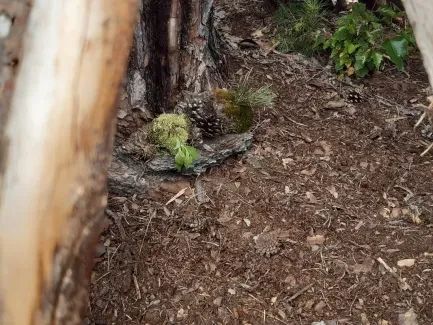 Příměstský tábor_Letem světem