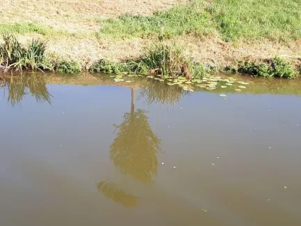 Den církevního školství_2. A a 2. B