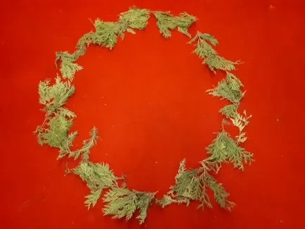 Poselství křesťanských svátků_2. A