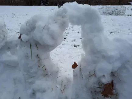 Týden na sněhu_2. A