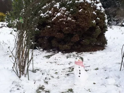 Týden na sněhu_2. A