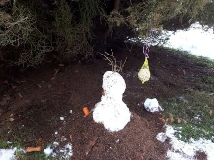 Týden na sněhu_2. A