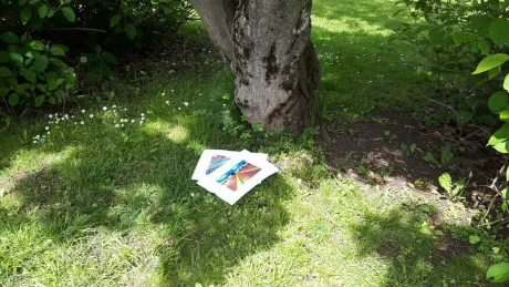 Učit se dá (téměř) všude