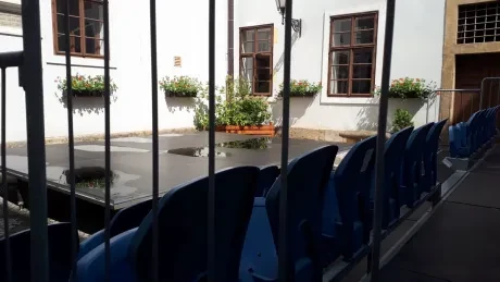 Za hradeckými lvy s architektem města_2. A