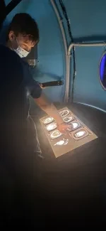 IQLandia_3. A a 4. A