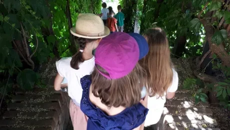 Za hradeckými lvy s architektem města_2. A