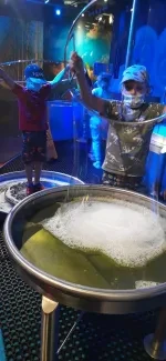 IQLandia_3. A a 4. A