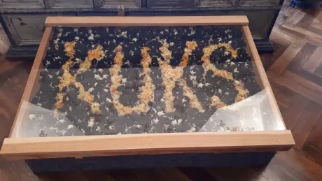 Den církevního školství_Kuks_3. A