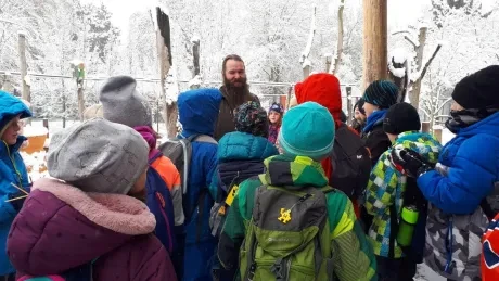 ZOO zdobení vánočních stromečků