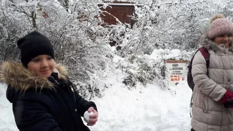 ZOO zdobení vánočních stromečků