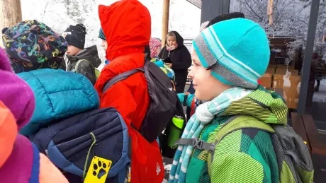 ZOO zdobení vánočních stromečků