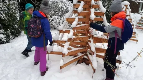 ZOO zdobení vánočních stromečků