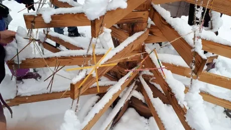 ZOO zdobení vánočních stromečků