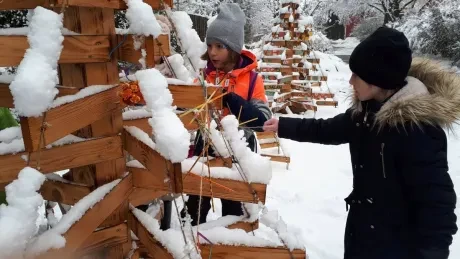 ZOO zdobení vánočních stromečků