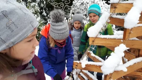 ZOO zdobení vánočních stromečků