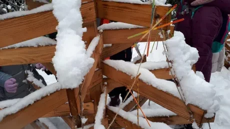 ZOO zdobení vánočních stromečků