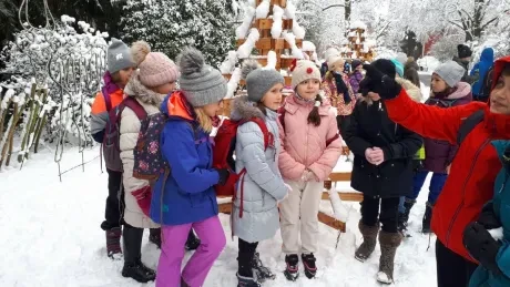 ZOO zdobení vánočních stromečků