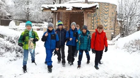 ZOO zdobení vánočních stromečků