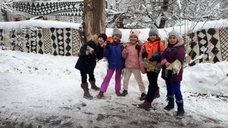 ZOO zdobení vánočních stromečků