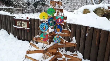 ZOO zdobení vánočních stromečků