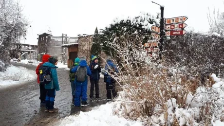 ZOO zdobení vánočních stromečků