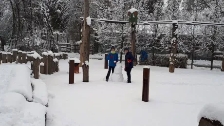 ZOO zdobení vánočních stromečků