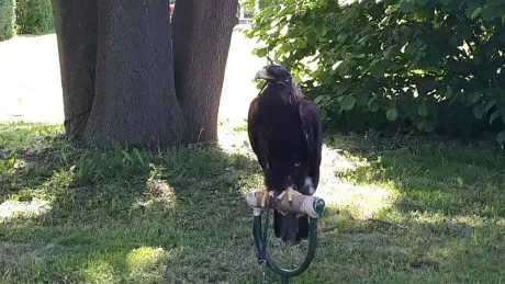 Interaktivní výukové dopoledne_3. A