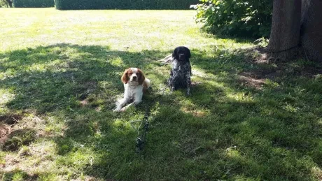 Interaktivní výukové dopoledne_3. A