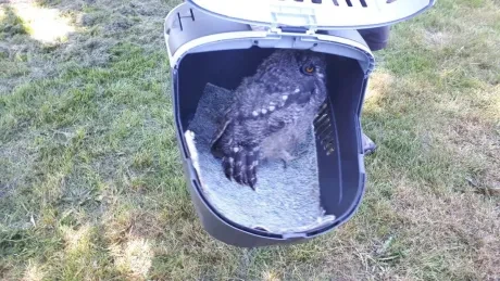 Interaktivní výukové dopoledne_3. A