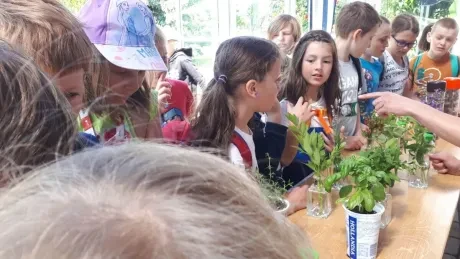 Interaktivní výukové dopoledne_3. A