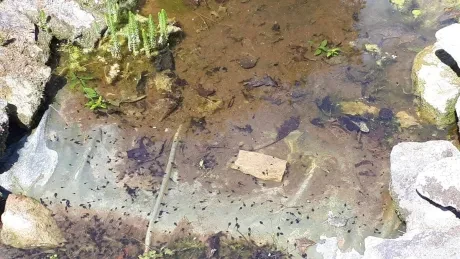 Interaktivní výukové dopoledne_3. A