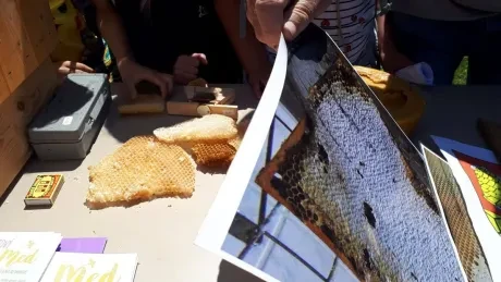 Interaktivní výukové dopoledne_3. A