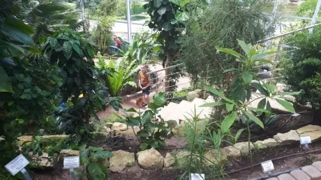 Interaktivní výukové dopoledne_3. A